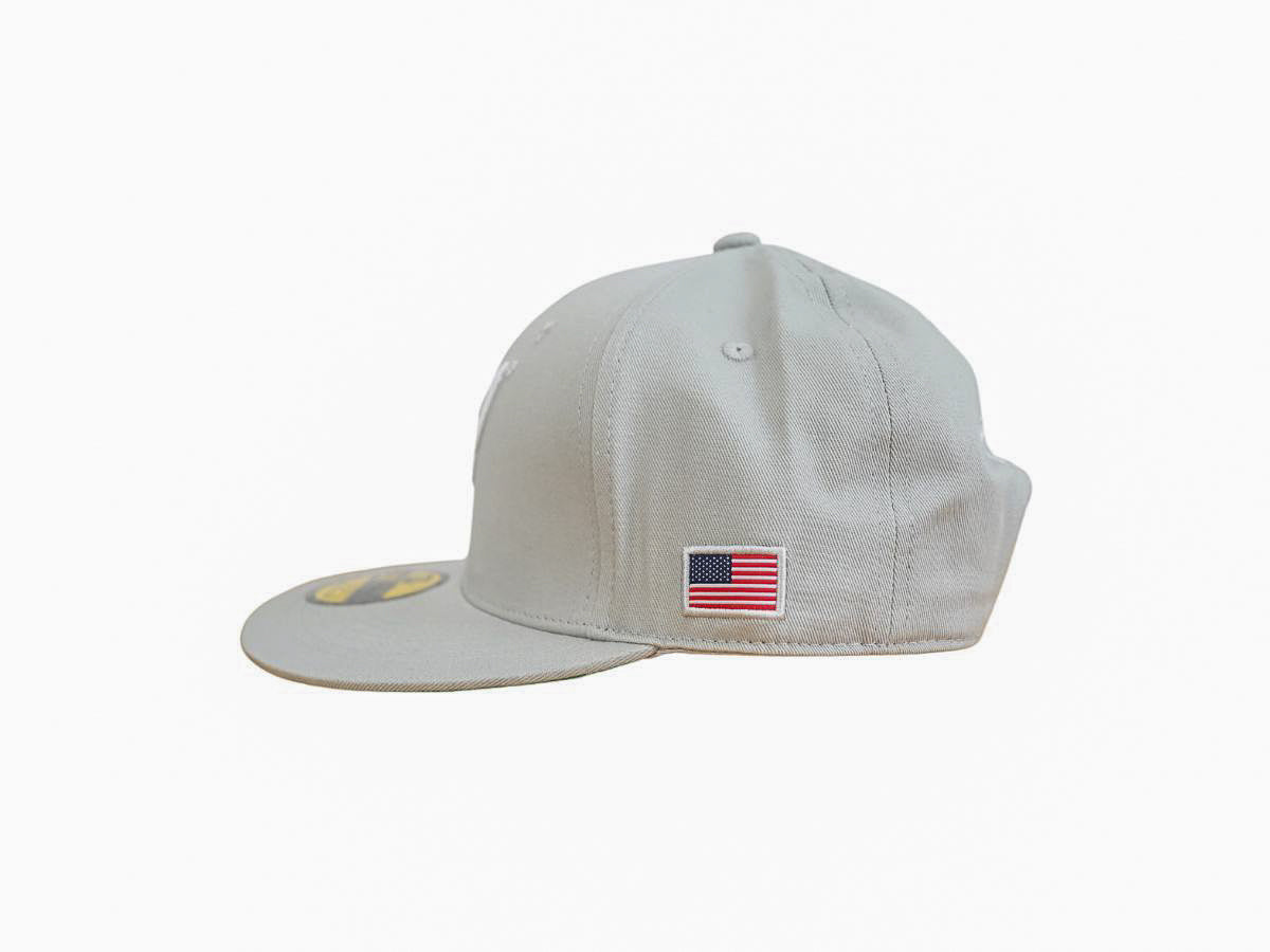 Fam - Angel Wing Snapback - Grey