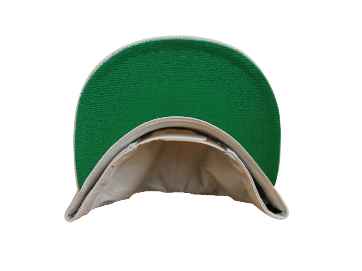 Fam - Angel Wing Snapback - Grey
